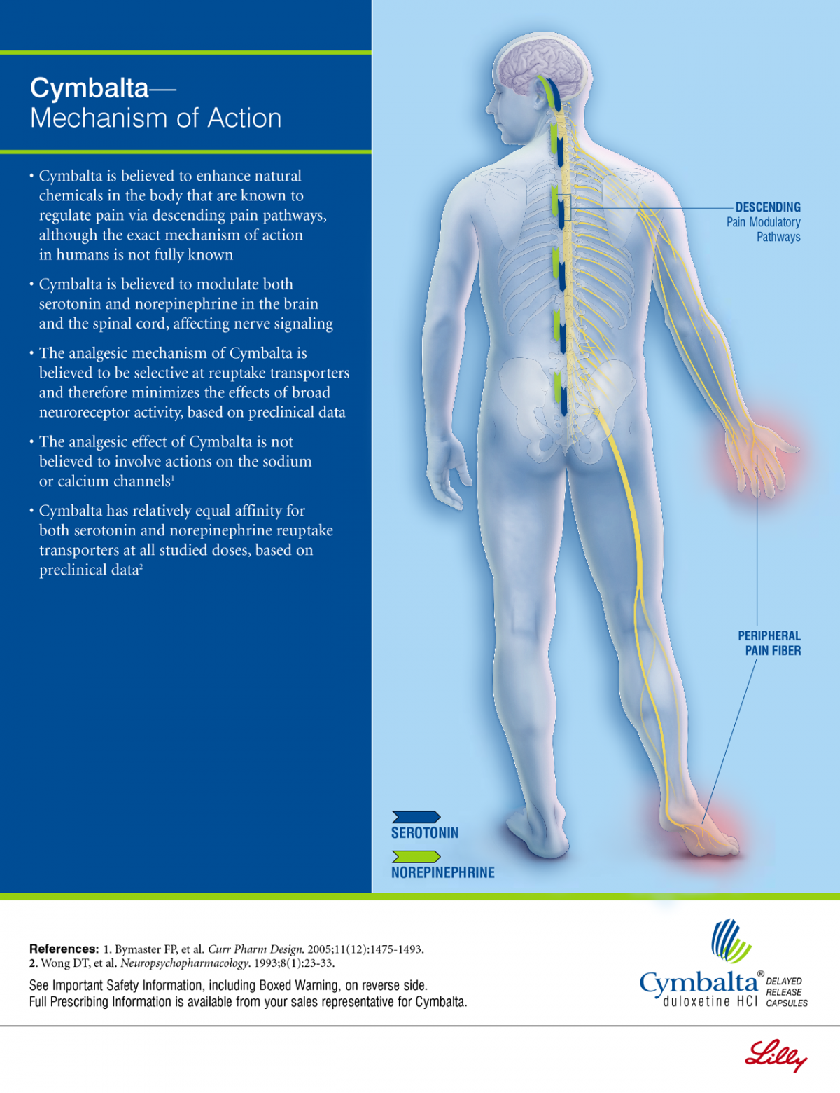 cymbalta-mechanism-of-action-gentry-visualization-medical-illustration